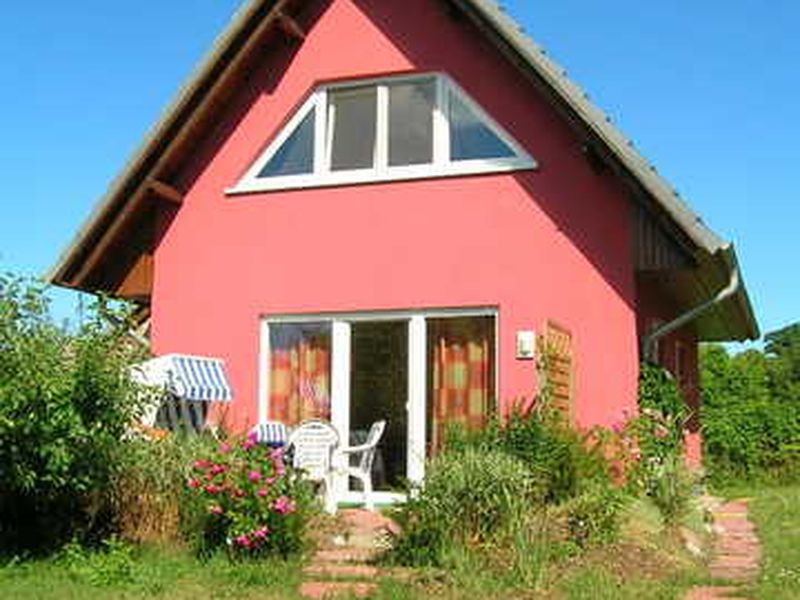 18438805-Ferienhaus-4-Zempin (Seebad)-800x600-2