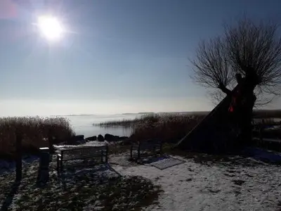 Ferienhaus für 3 Personen (55 m²) in Zempin (Seebad) 6/10