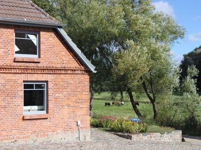 Ferienhaus für 5 Personen (110 m²) in Zierow 9/10