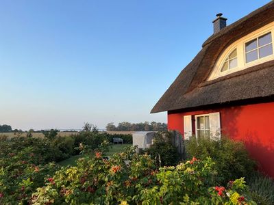 Ferienhaus für 5 Personen (106 m²) in Zierow 2/10