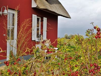 Ferienhaus für 5 Personen (106 m²) in Zierow 4/10