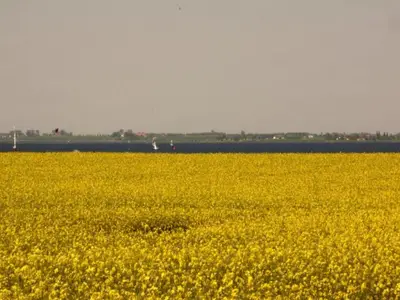 AreaSummer20KM