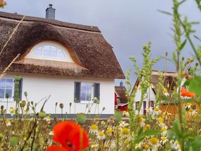 Ferienhaus für 3 Personen (78 m²) in Zierow 10/10