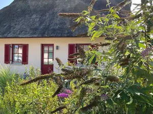 Ferienhaus für 3 Personen (78 m²) in Zierow