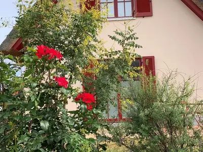 Ferienhaus für 3 Personen (78 m²) in Zierow 8/10