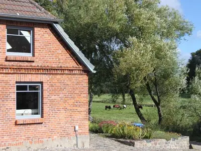Ferienhaus für 5 Personen (110 m²) in Zierow 9/10
