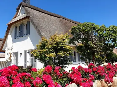 Ferienhaus für 4 Personen (96 m²) in Zierow 1/10
