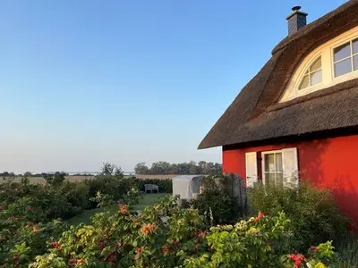 Ferienhaus für 5 Personen (106 m²) in Zierow 2/10