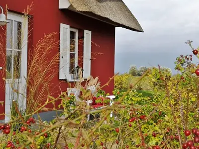 Ferienhaus für 5 Personen (106 m²) in Zierow 4/10