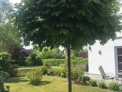 Ferienhaus für 4 Personen (110 m²) in Zierow 9/10