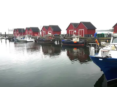 Ferienhaus für 4 Personen (54 m²) in Zierow 8/10