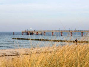 21652479-Ferienhaus-6-Zingst (Ostseebad)-300x225-3