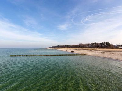 Ferienhaus für 6 Personen (95 m²) in Zingst (Ostseebad) 5/10