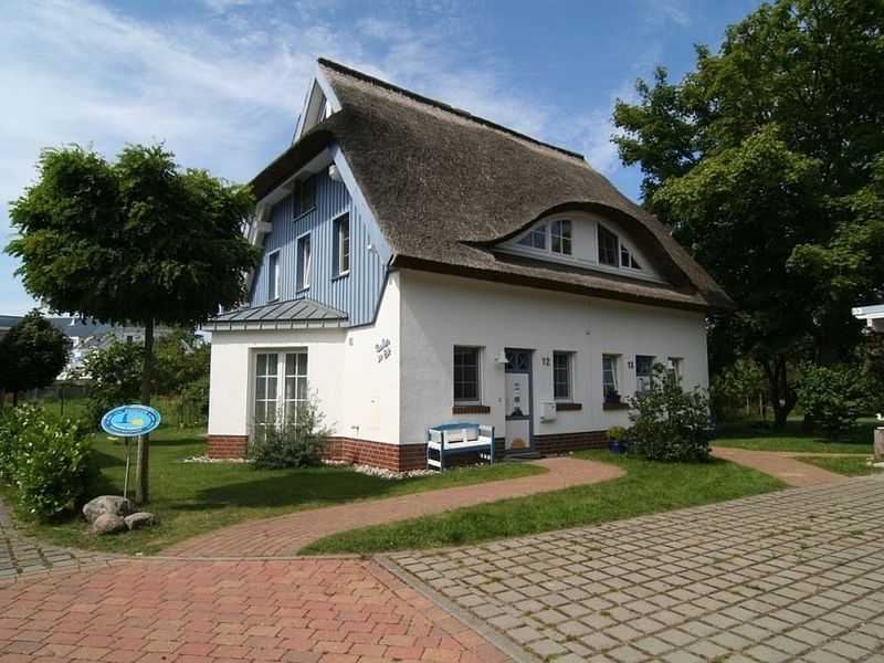 23919503-Ferienhaus-6-Zingst (Ostseebad)-800x600-1