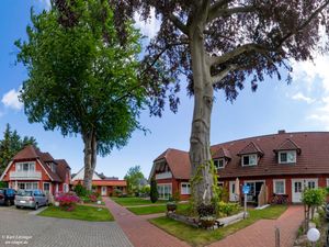 23881108-Ferienhaus-2-Zingst (Ostseebad)-300x225-2