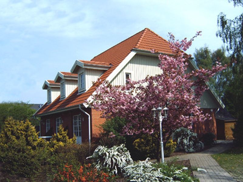 23269957-Ferienhaus-4-Zingst (Ostseebad)-800x600-0
