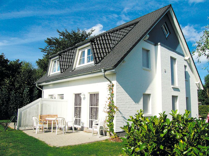 23948256-Ferienhaus-6-Zingst (Ostseebad)-800x600-0