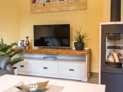 TV und Kaminofen