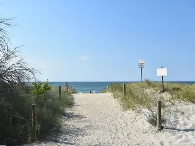 AreaSummer1KM