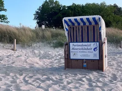 Ferienhaus für 6 Personen (72 m²) in Zingst 5/10