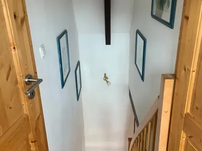 Ferienhaus für 4 Personen (55 m²) in Zingst 10/10