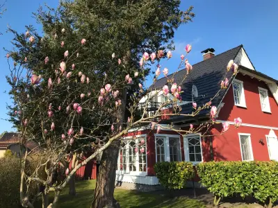 Ferienhaus für 5 Personen (105 m²) in Zingst (Ostseebad) 2/10
