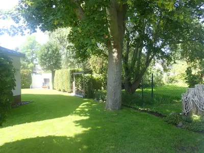 Ferienhaus für 6 Personen (78 m²) in Zingst 6/10