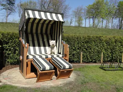 Ferienhaus für 6 Personen (96 m²) in Zingst 6/10