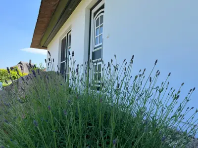 Ferienhaus für 8 Personen (115 m²) in Zinnowitz 6/10