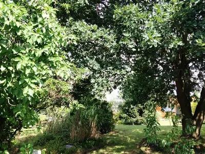 Ferienhaus für 2 Personen (18 m²) in Zinnowitz 10/10