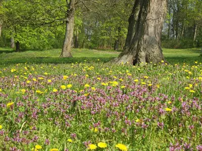 Ferienhaus für 4 Personen in Zinzow 6/10