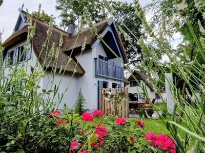 Ferienhaus für 6 Personen (136 m²) in Zirchow 2/10