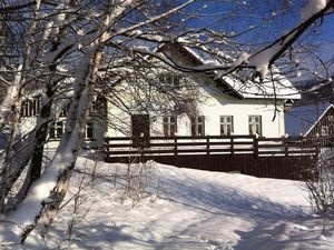 Ferienhaus für 21 Personen (225 m²) in Zlatá Olesnice