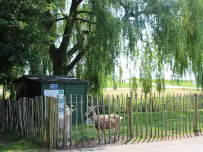 ParkFacilities