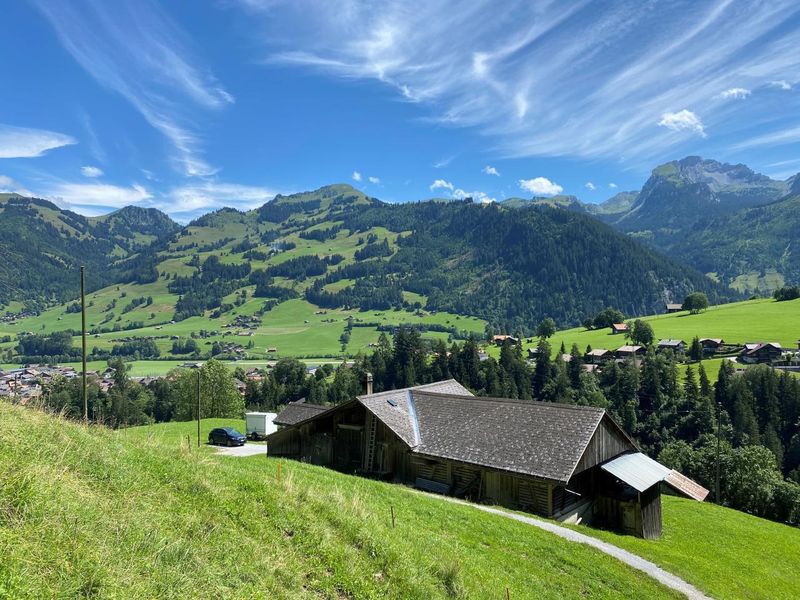 23393595-Ferienhaus-6-Zweisimmen-800x600-1