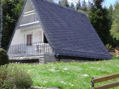 Ferienhaus für 4 Personen (42 m²) in Zwota 3/10