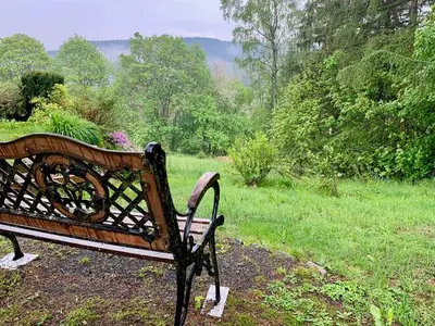 Ferienhaus für 4 Personen (42 m²) in Zwota 10/10