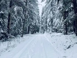 Ferienhaus für 4 Personen (42 m²) in Zwota