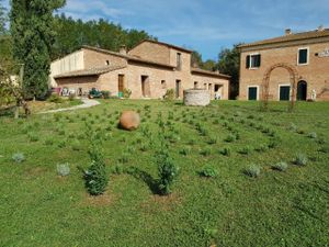 Ferienwohnung für 2 Personen (25 m²) in Abbadia Di Montepulciano