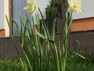 Ferienwohnung für 3 Personen (58 m²) in Absam 8/10