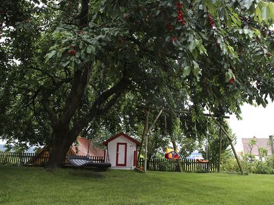 Spielwiese mit Kirschbaum