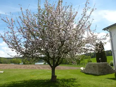 Ferienwohnung für 2 Personen in Absberg 6/10