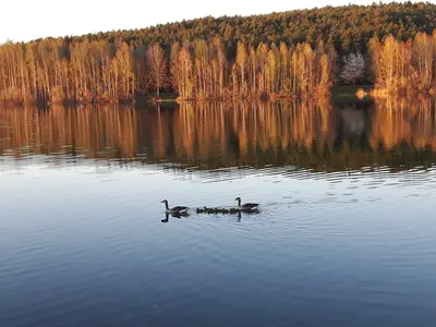 Ferienwohnung für 2 Personen in Absberg 9/10