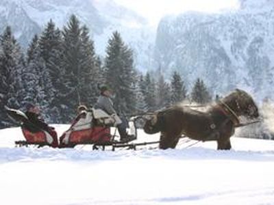 Pferdekutschenfahrten im Winter