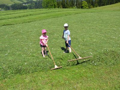 Mithilfe bei der Heuarbeit