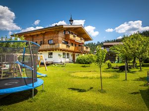 Ferienwohnung für 4 Personen (40 m²) in Abtenau