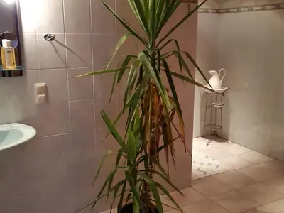 Ferienwohnung für 4 Personen (35 m²) in Abbtenau 6/10