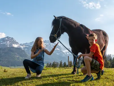 Ponyreiten