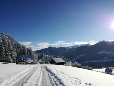 Winter Lammerauhof