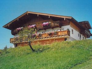 Ferienwohnung für 4 Personen (55 m²) in Achenkirch